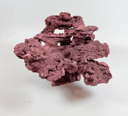 WYSIWYG Coraline Reef Rock #1