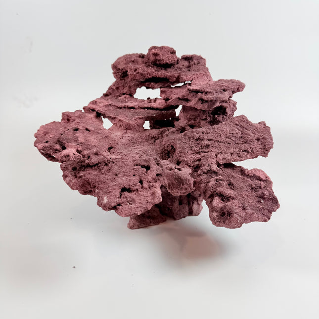 WYSIWYG Coraline Reef Rock #1