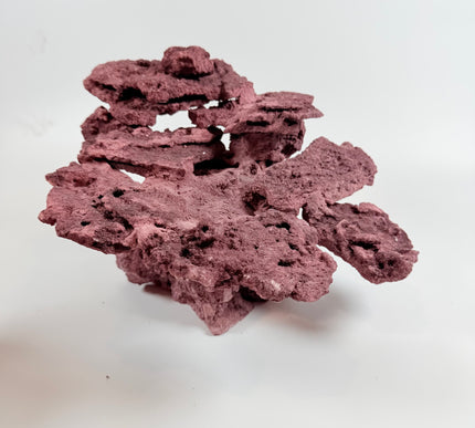 WYSIWYG Coraline Reef Rock #1