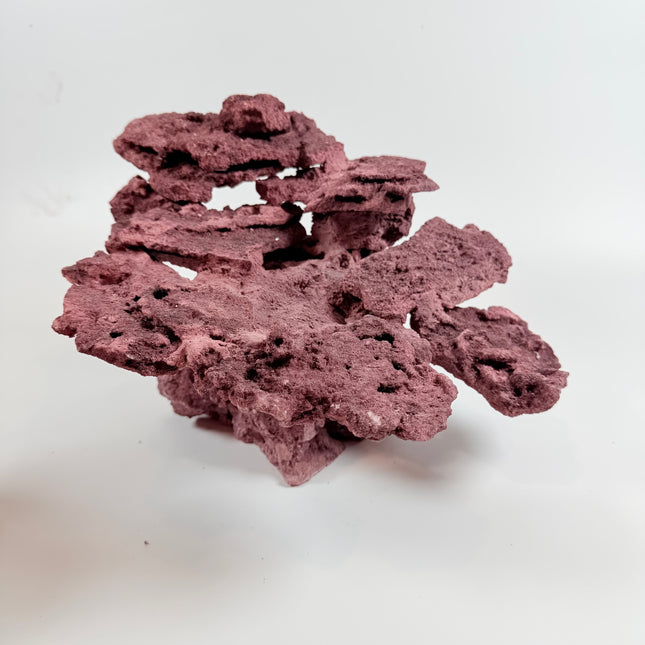 WYSIWYG Coraline Reef Rock #1