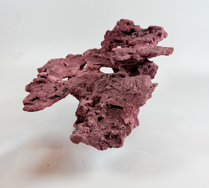 WYSIWYG Coraline Reef Rock #1