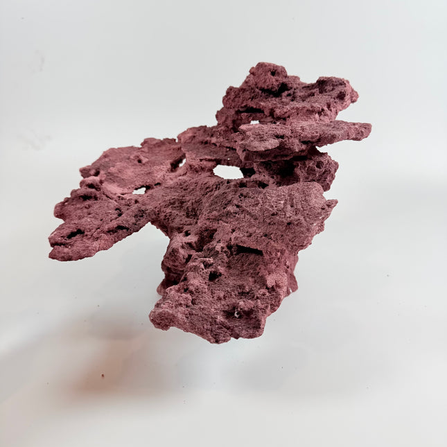 WYSIWYG Coraline Reef Rock #1