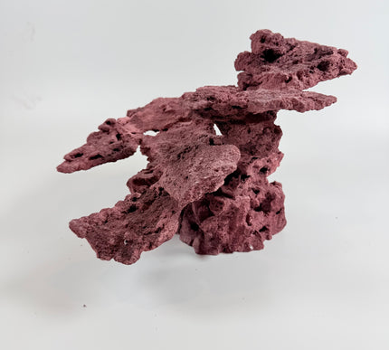 WYSIWYG Coraline Reef Rock #1