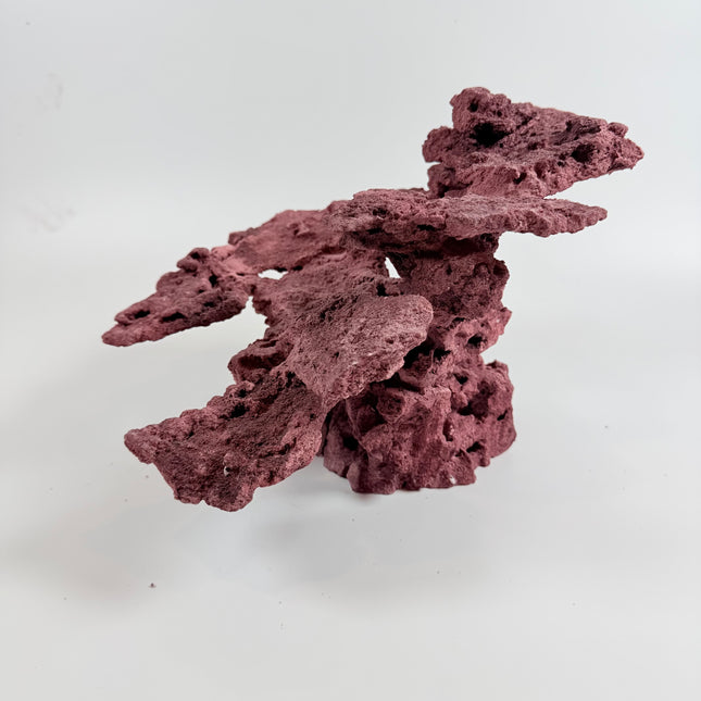 WYSIWYG Coraline Reef Rock #1