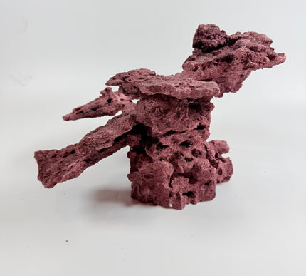 WYSIWYG Coraline Reef Rock #1