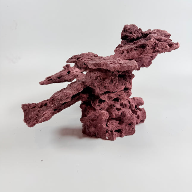 WYSIWYG Coraline Reef Rock #1