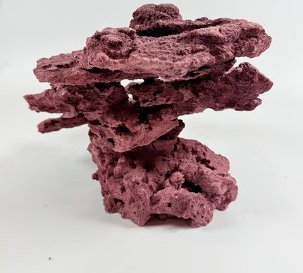 WYSIWYG Coraline Reef Rock #1