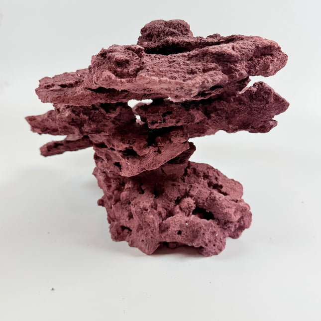 WYSIWYG Coraline Reef Rock #1
