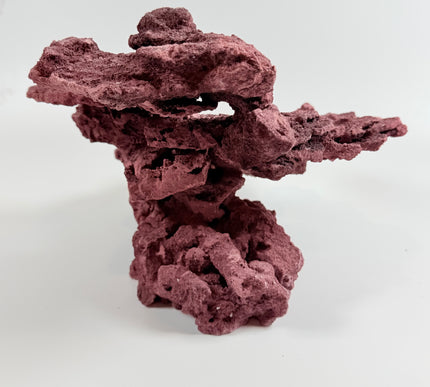 WYSIWYG Coraline Reef Rock #1