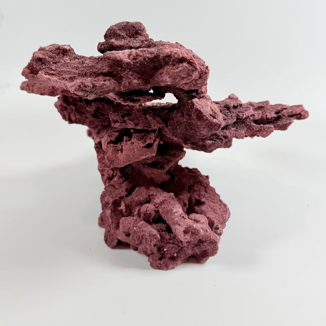 WYSIWYG Coraline Reef Rock #1
