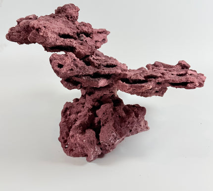 WYSIWYG Coraline Reef Rock #1