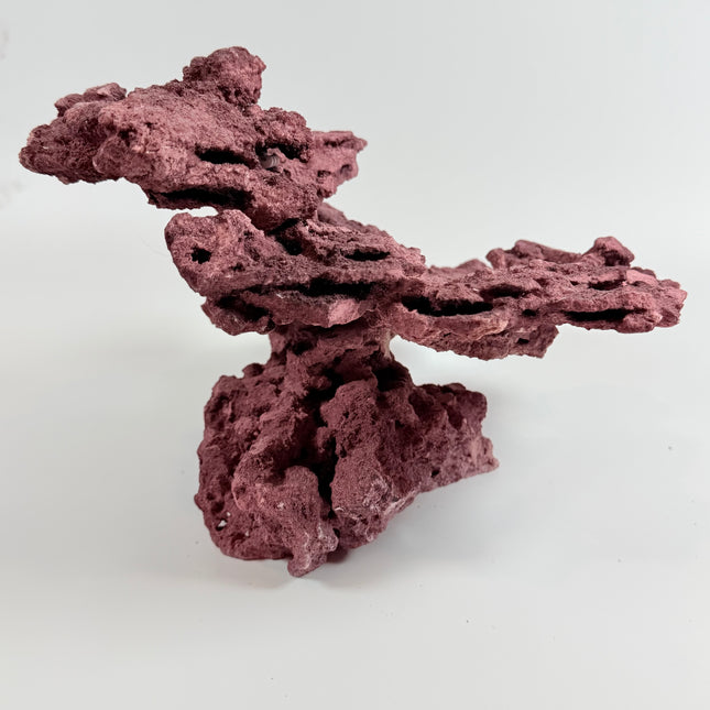 WYSIWYG Coraline Reef Rock #1