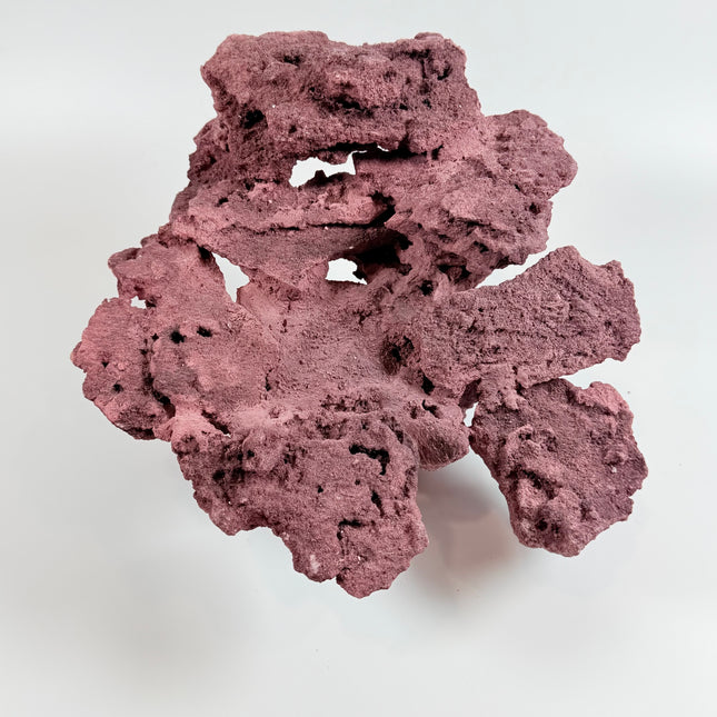 WYSIWYG Coraline Reef Rock #1