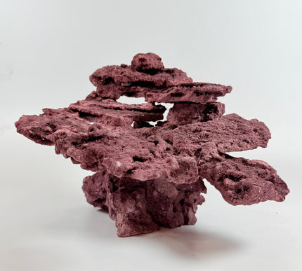 WYSIWYG Coraline Reef Rock #1