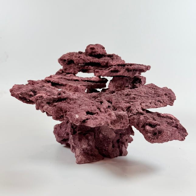 WYSIWYG Coraline Reef Rock #1