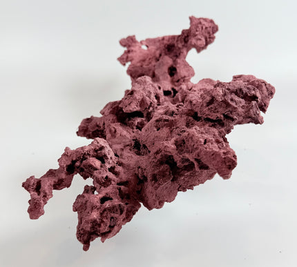 WYSIWYG Coraline Reef Rock #2