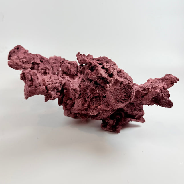 WYSIWYG Coraline Reef Rock #2