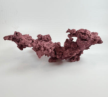 WYSIWYG Coraline Reef Rock #2