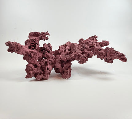 WYSIWYG Coraline Reef Rock #2
