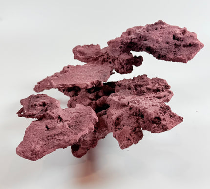 WYSIWYG Coraline Reef Rock #3