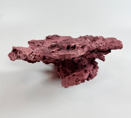 WYSIWYG Coraline Reef Rock #3