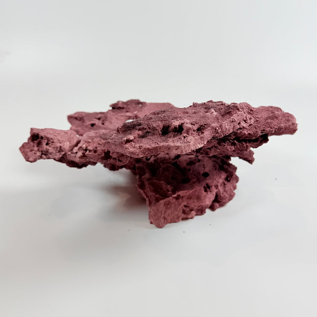 WYSIWYG Coraline Reef Rock #3
