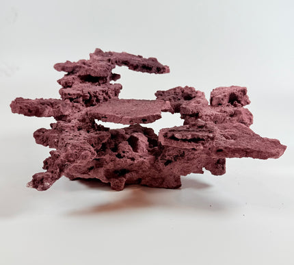 WYSIWYG Coraline Reef Rock #3