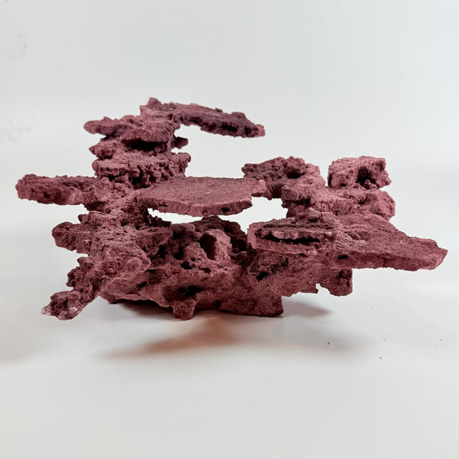 WYSIWYG Coraline Reef Rock #3