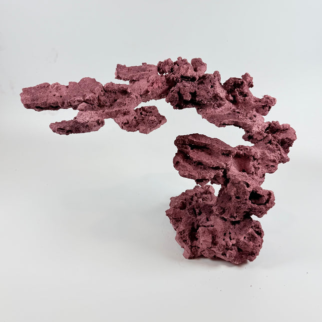 WYSIWYG Coraline Reef Rock #4