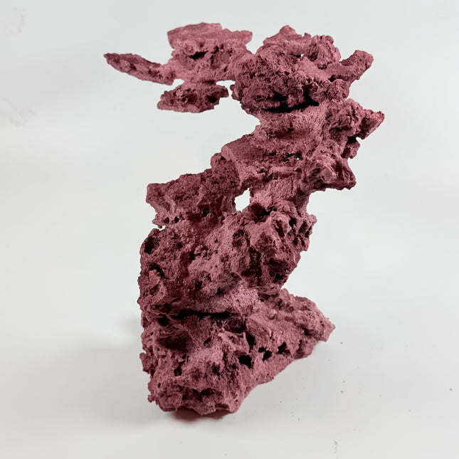 WYSIWYG Coraline Reef Rock #4
