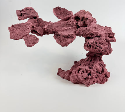 WYSIWYG Coraline Reef Rock #5