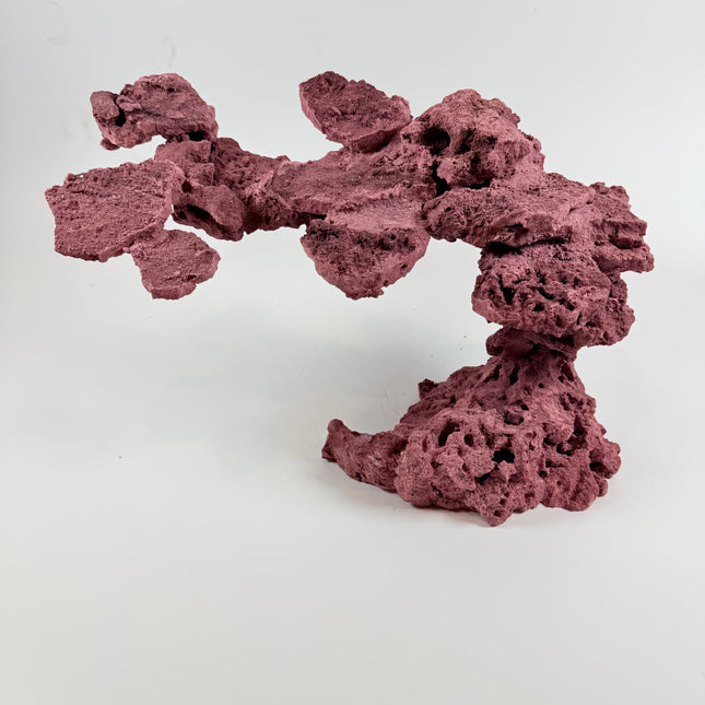 WYSIWYG Coraline Reef Rock #5