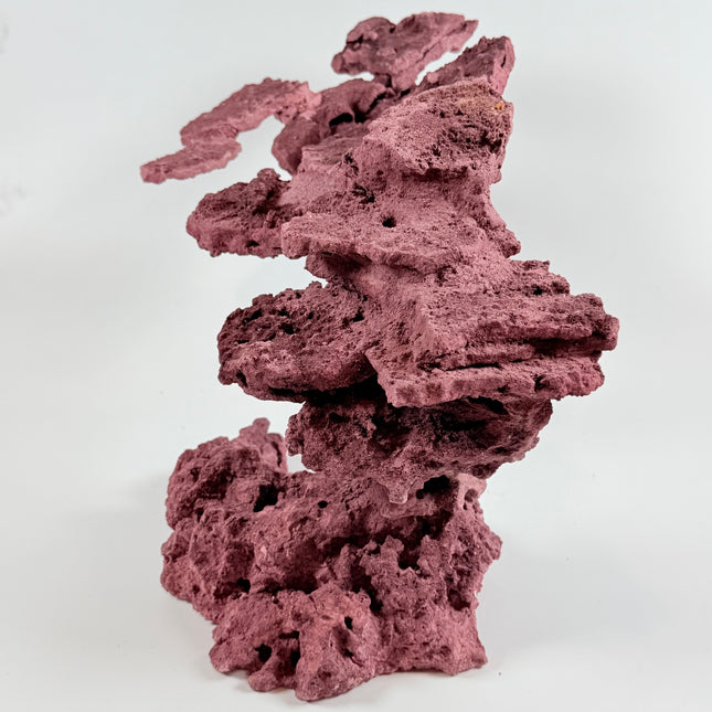 WYSIWYG Coraline Reef Rock #5