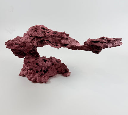 WYSIWYG Coraline Reef Rock #5