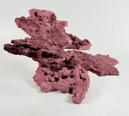 WYSIWYG Coraline Reef Rock #5