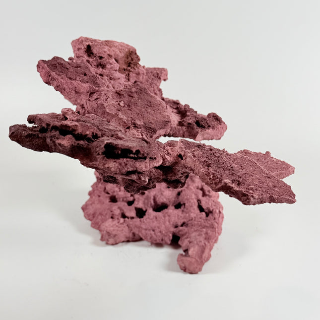 WYSIWYG Coraline Reef Rock #5