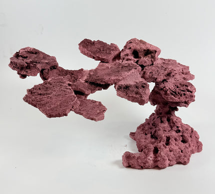 WYSIWYG Coraline Reef Rock #5