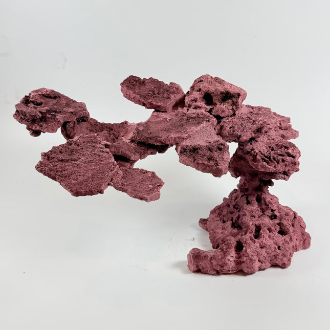 WYSIWYG Coraline Reef Rock #5