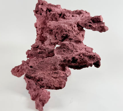 WYSIWYG Coraline Reef Rock #6