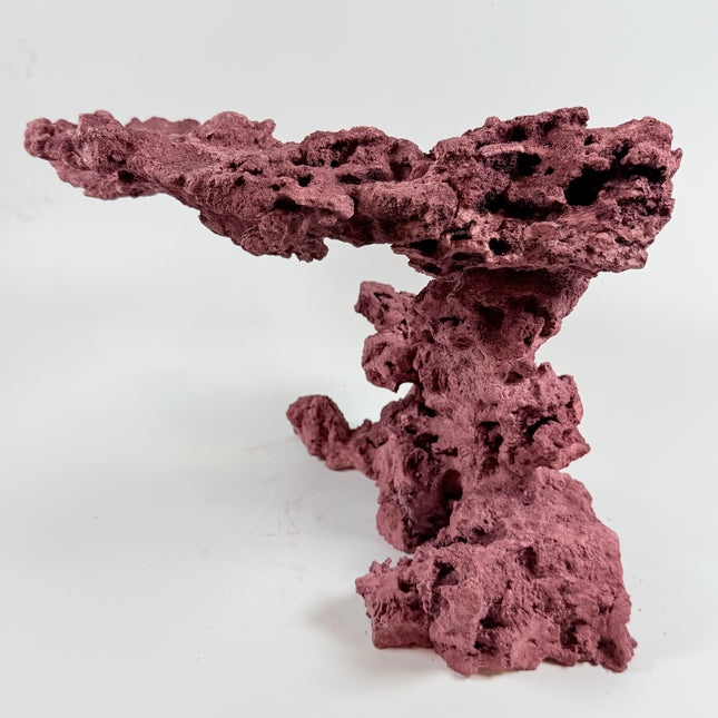 WYSIWYG Coraline Reef Rock #6