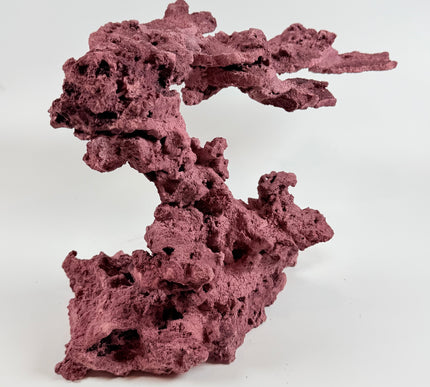 WYSIWYG Coraline Reef Rock #6