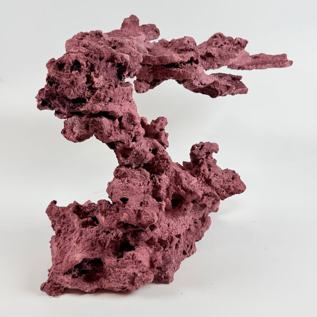 WYSIWYG Coraline Reef Rock #6