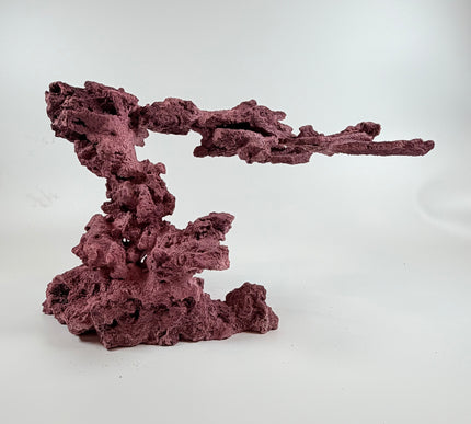 WYSIWYG Coraline Reef Rock #6