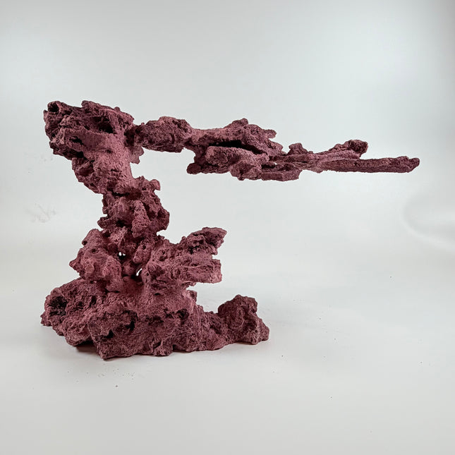 WYSIWYG Coraline Reef Rock #6