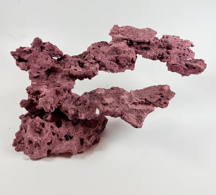WYSIWYG Coraline Reef Rock #7