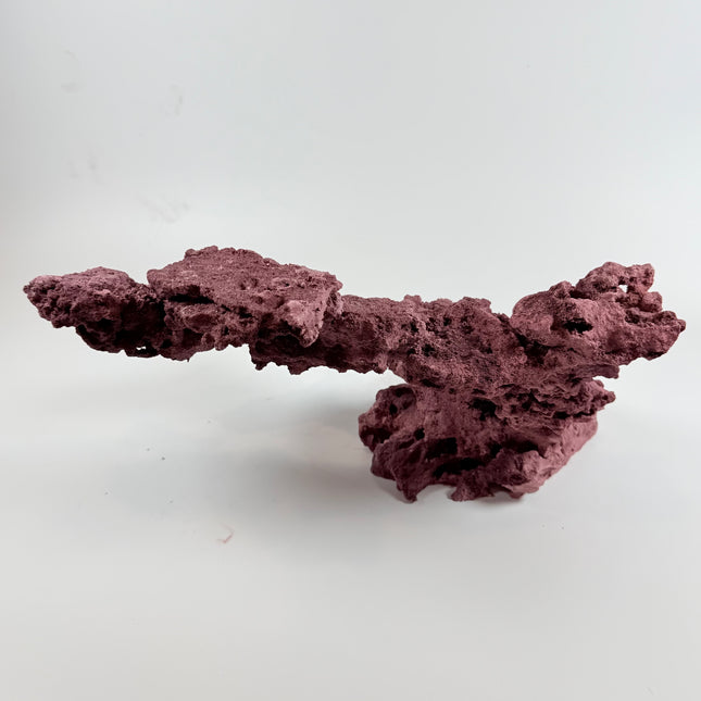 WYSIWYG Coraline Reef Rock #7