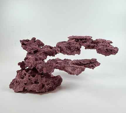 WYSIWYG Coraline Reef Rock #7
