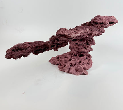WYSIWYG Coraline Reef Rock #8