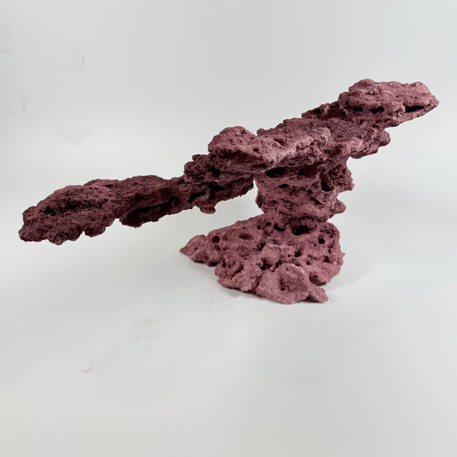 WYSIWYG Coraline Reef Rock #8