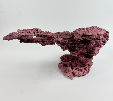 WYSIWYG Coraline Reef Rock #8